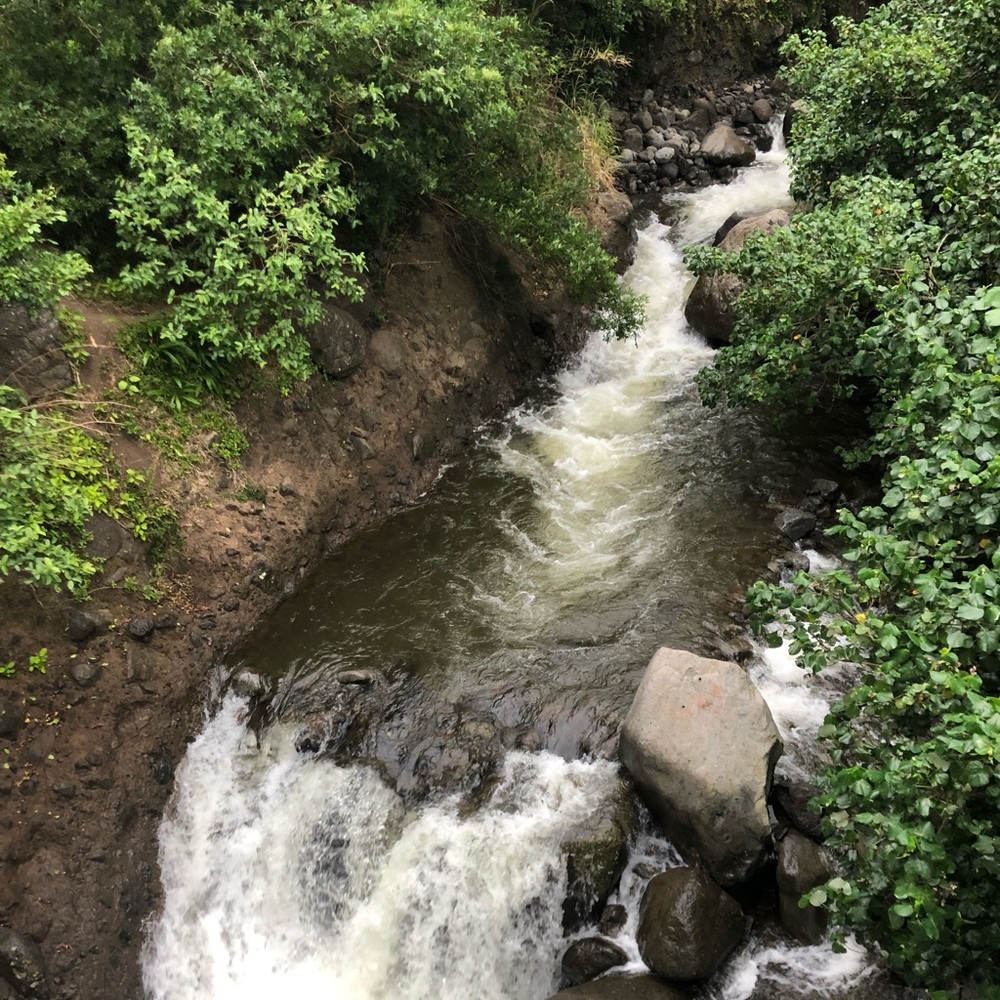 Meet your Poshers: Nia, Sofia, Alia